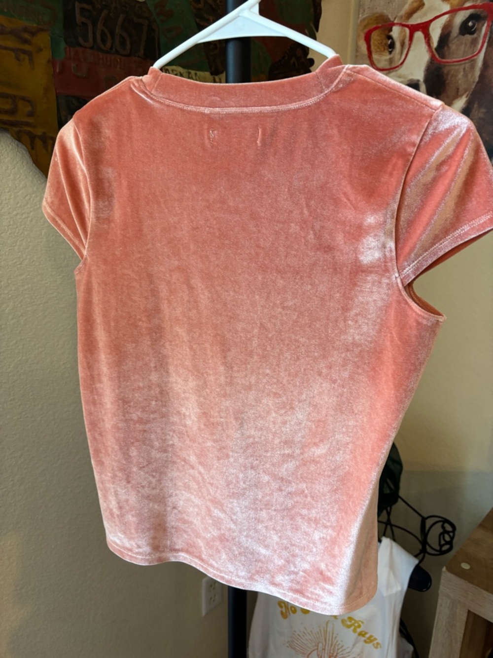 Madewell Blush Velvet Short Sleeve Tee - Picture 4 of 4
